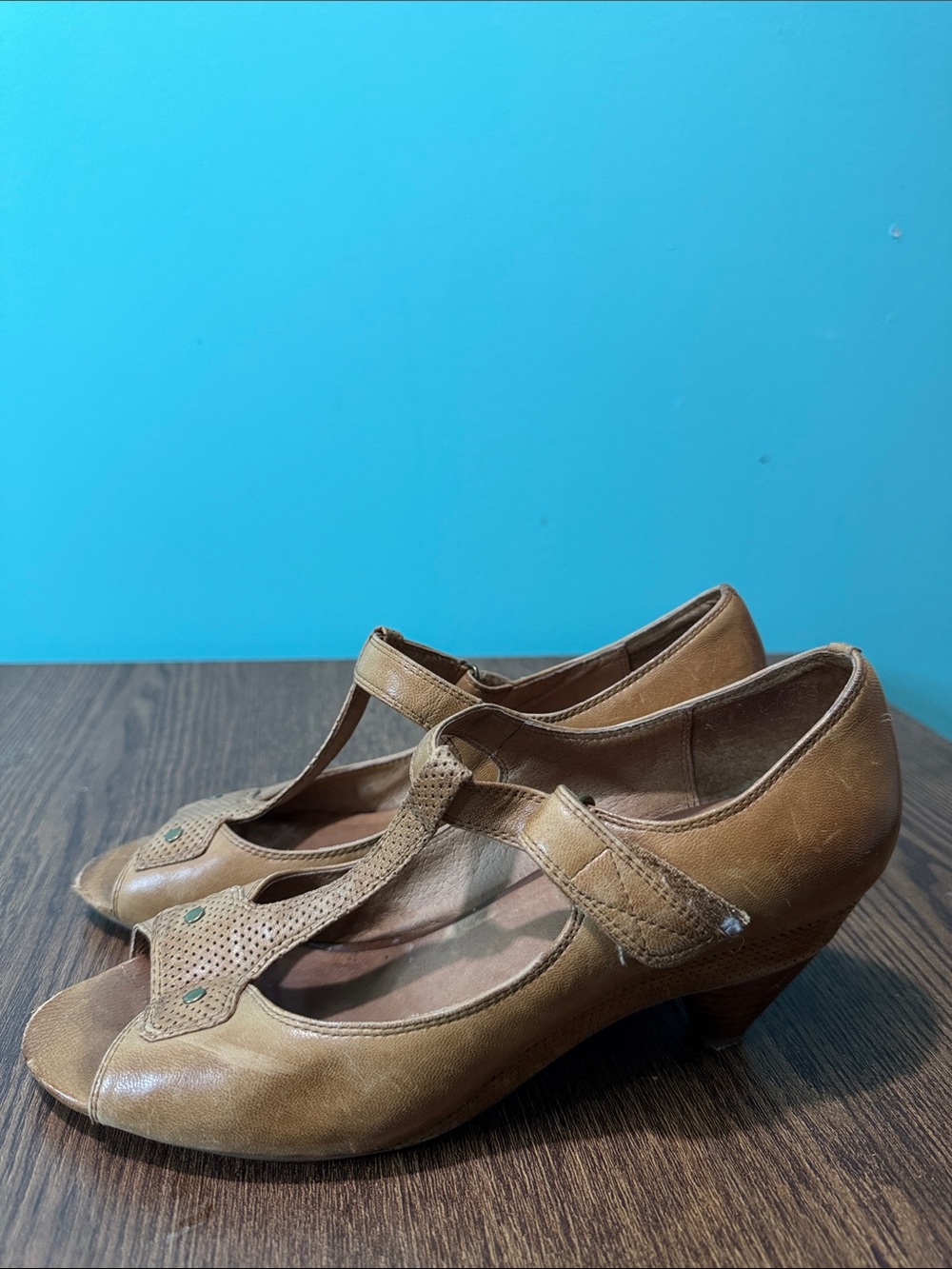Miz Mooz T-Strap Mid Heel Shoes